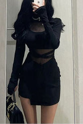 Black Mesh Sheer Slim Bodycon Mini Dress