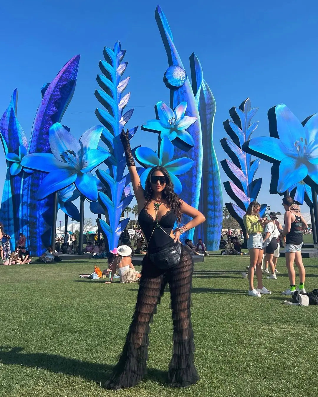 Mesh Sheer Gothic Flare Pant