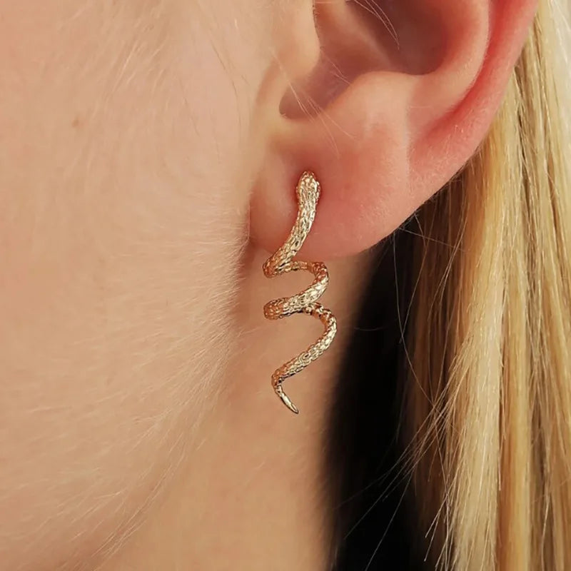 Exaggerated Snake Irregular Hanging Earring