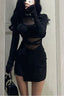 Black Mesh Sheer Slim Bodycon Mini Dress
