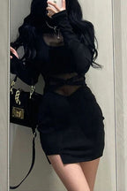 Black Mesh Sheer Slim Bodycon Mini Dress