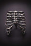 Dark Retro Punk Rib Ring