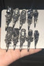 Dark Skull Gothic Press On Nails