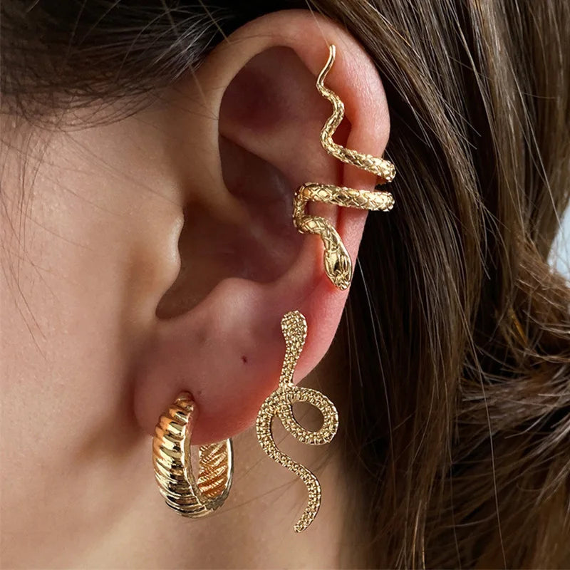 Snake Shape Silver Hip Hop Stud Earring Main image