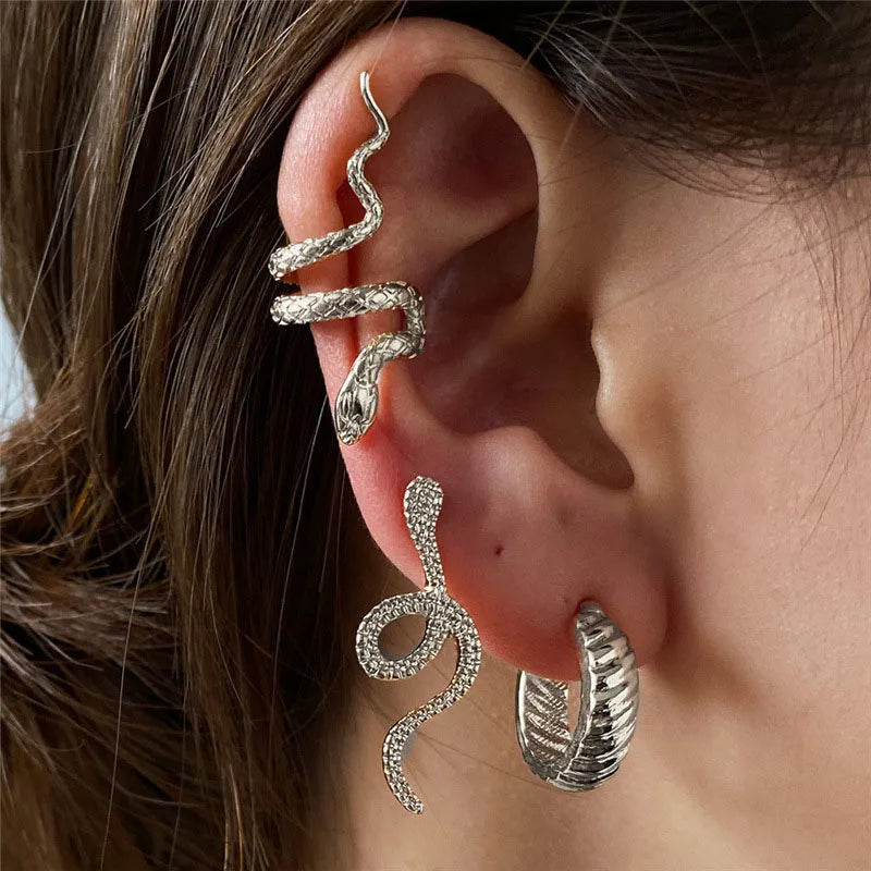 Snake Shape Silver Hip Hop Stud Earring