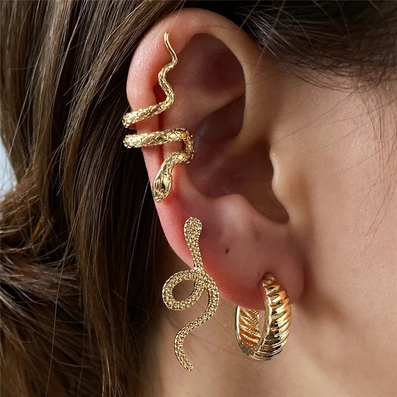 Snake Shape Silver Hip Hop Stud Earring