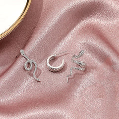 Snake Shape Silver Hip Hop Stud Earring