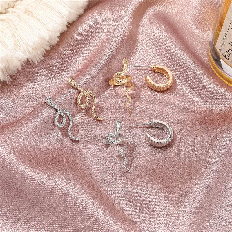 Snake Shape Silver Hip Hop Stud Earring