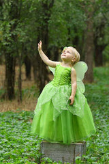 Green Fairy Dress Kid Halloween Costume